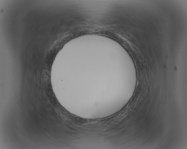 X0000082991447200702011132