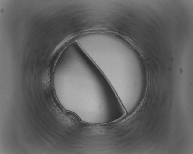 X0000082991450200702011132