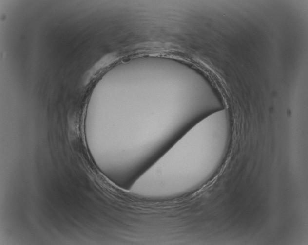 X0000082991451200702011132