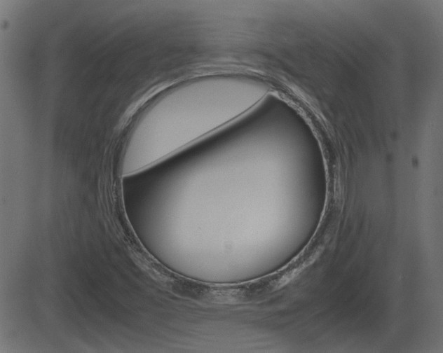 X0000082991453200702011132