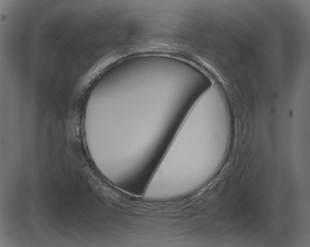 X0000082991455200702011132