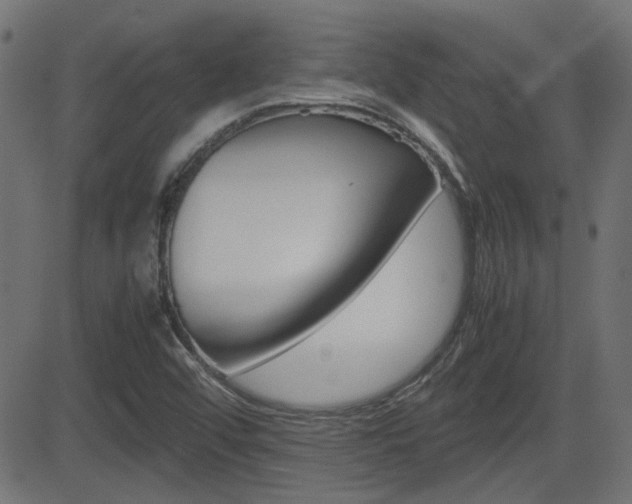 X0000082991456200702011132