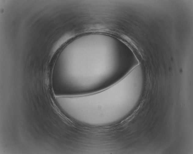 X0000082991458200702011132