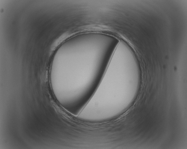 X0000082991459200702011132