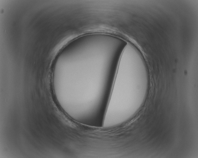 X0000082991463200702011132