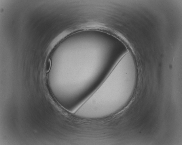 X0000082991469200702011132