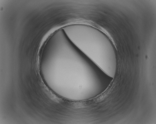 X0000082991472200702011132