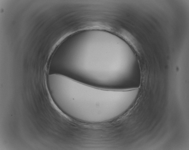X0000082991476200702011132