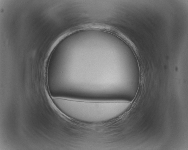 X0000082991483200702011131