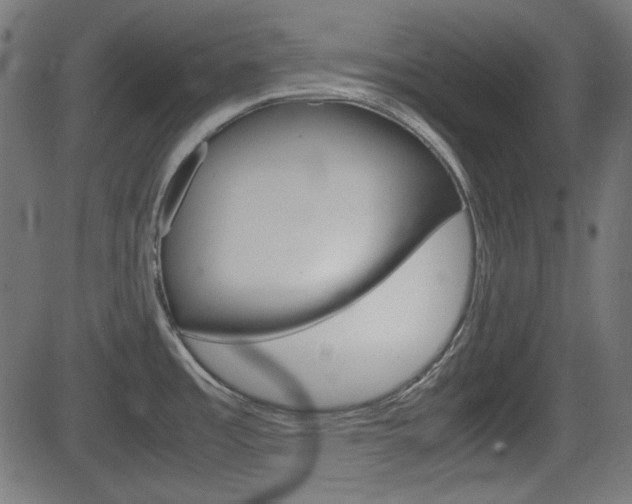 X0000082991485200702011131