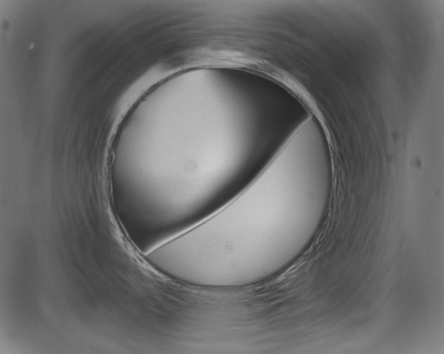 X0000082991488200702011131