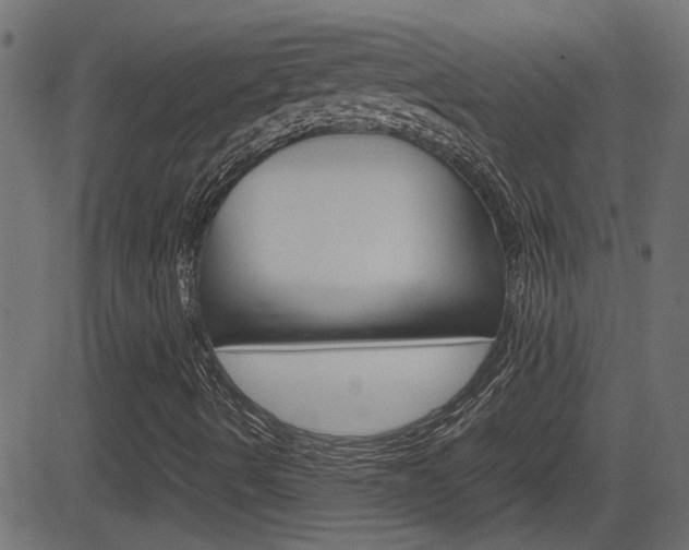 X0000082991490200702011131