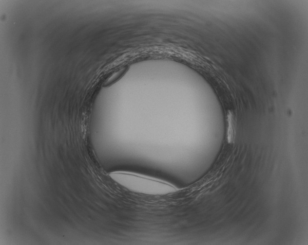 X0000082991491200702011131