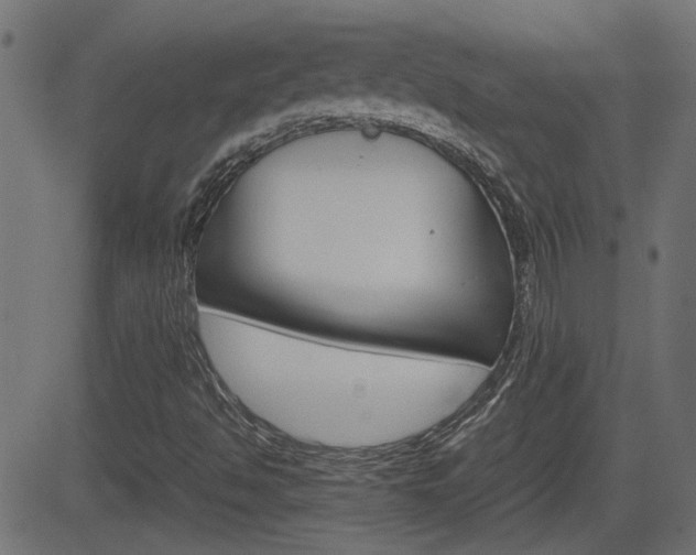 X0000082991494200702011131