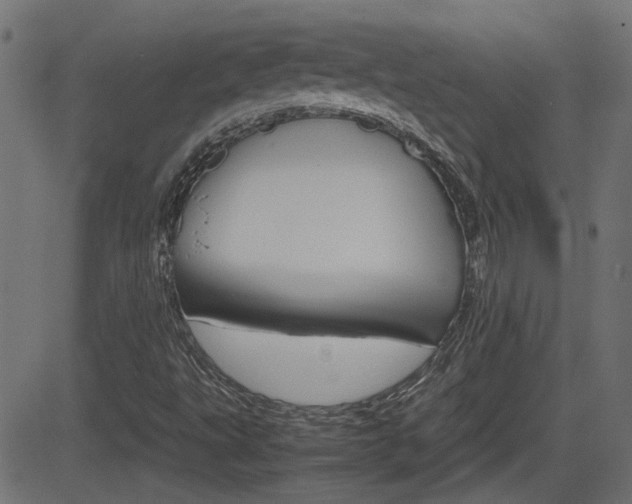 X0000082991495200702011131