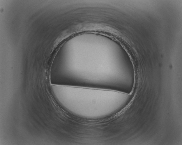 X0000082991497200702011131