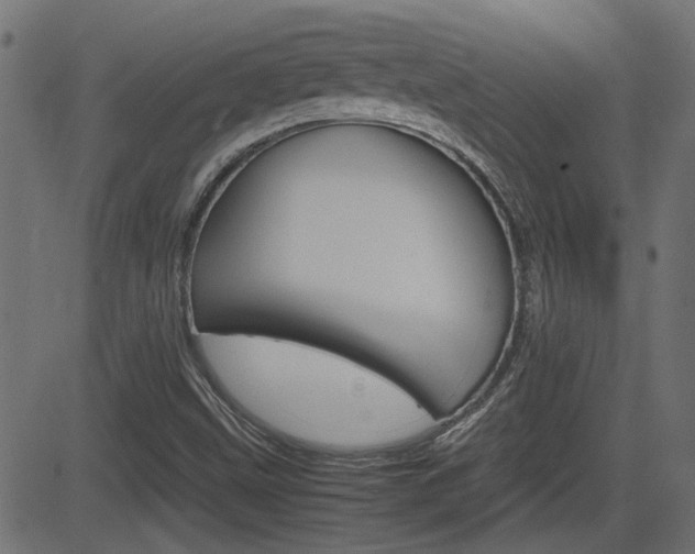 X0000082991499200702011131