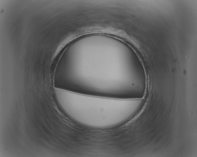 X0000082991501200702011131