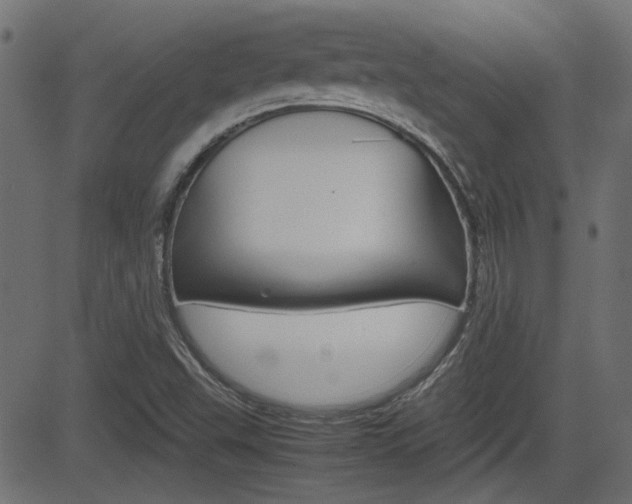 X0000082991503200702011131
