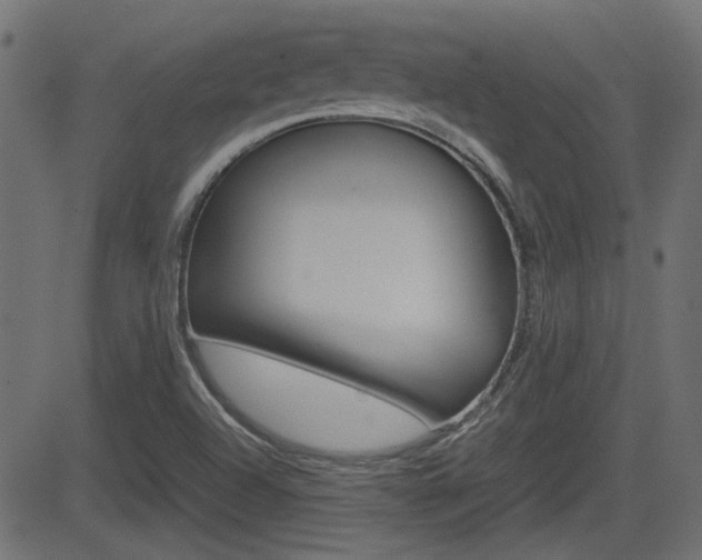 X0000082991504200702011131