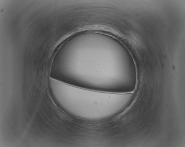 X0000082991505200702011131