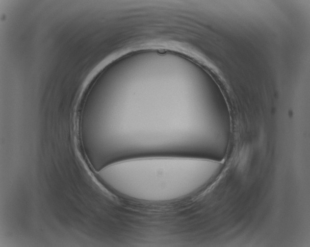 X0000082991517200702011131