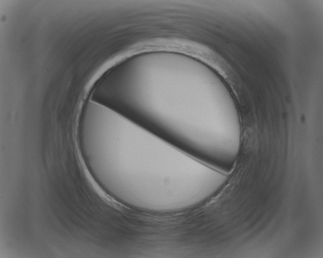 X0000082991523200702011131