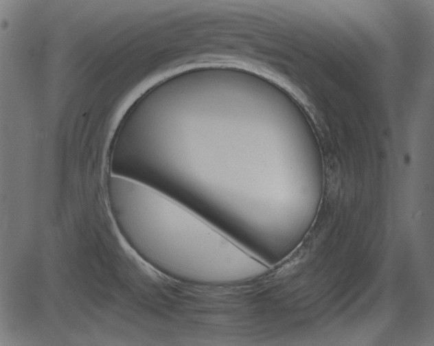 X0000082991527200702011131