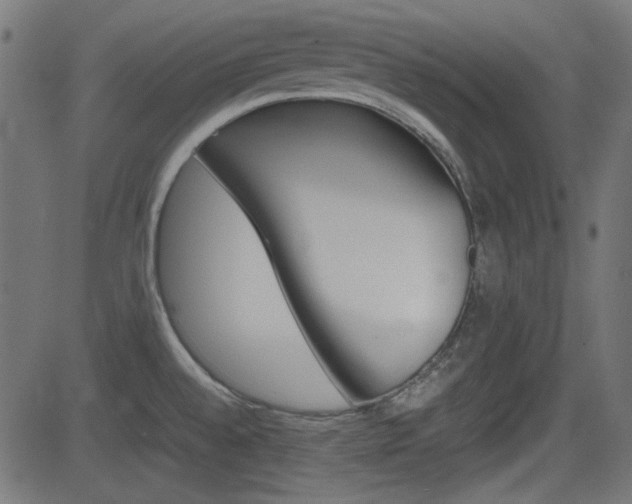 X0000082991528200702011131