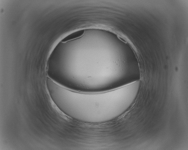 X0000082991532200702011131