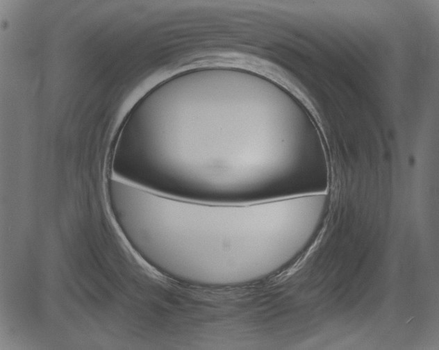 X0000082991533200702011131