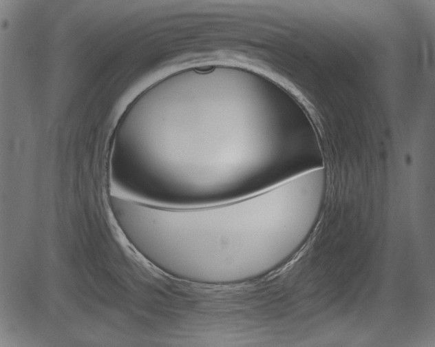 X0000082991534200702011131