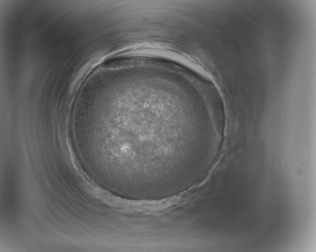 X0000082990001200702011441