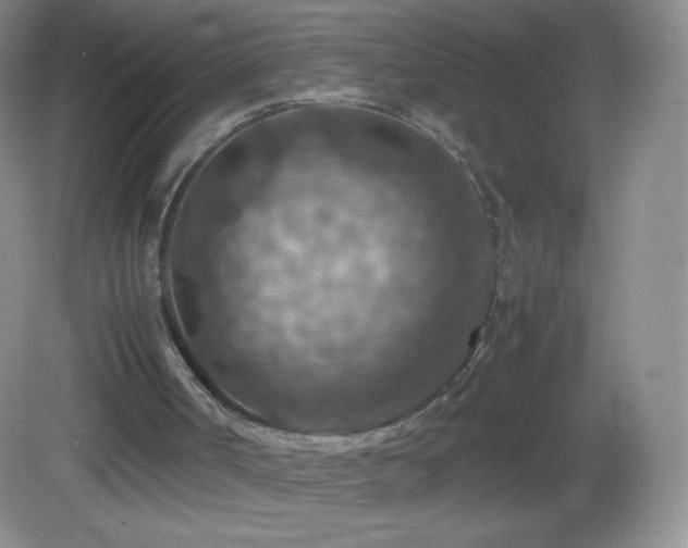 X0000082990002200702011441