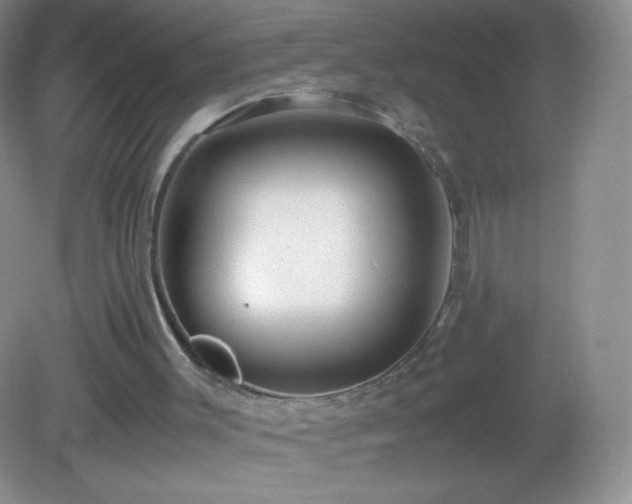 X0000082990003200702011441