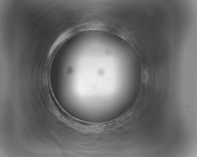 X0000082990004200702011441