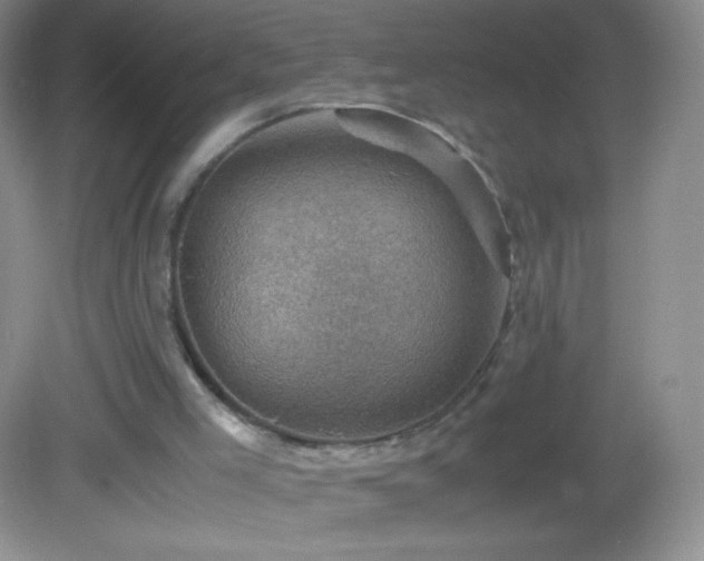 X0000082990005200702011441