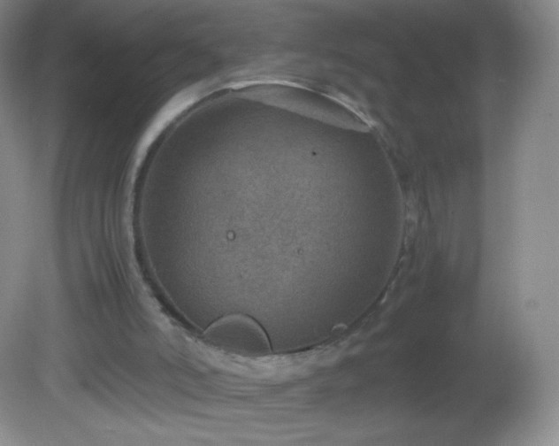 X0000082990006200702011441