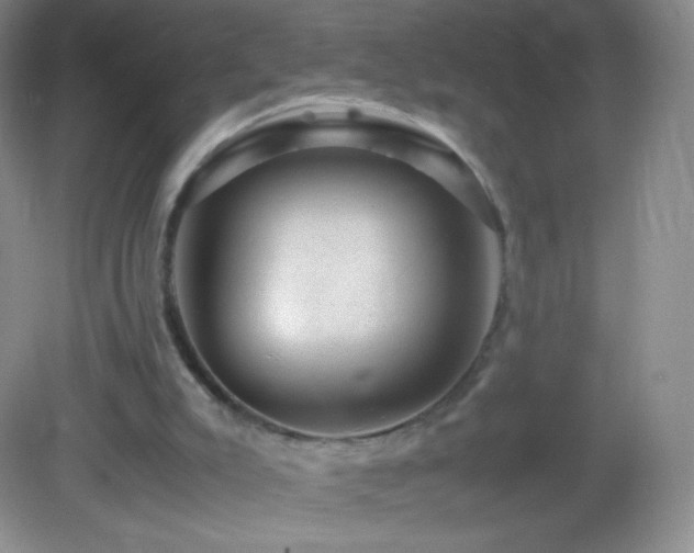 X0000082990007200702011441