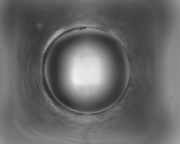 X0000082990008200702011441