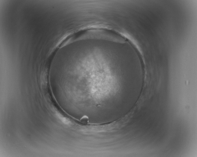 X0000082990009200702011441