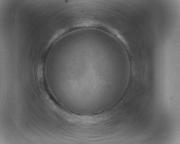 X0000082990010200702011441