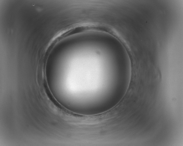 X0000082990011200702011441