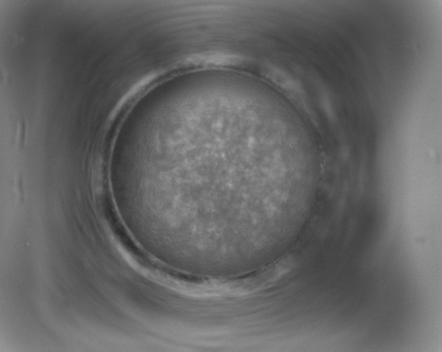 X0000082990012200702011441