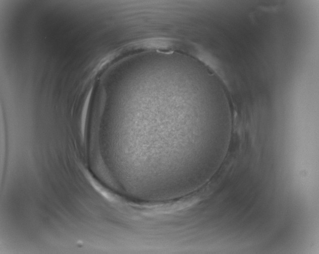 X0000082990013200702011441