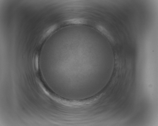 X0000082990014200702011441