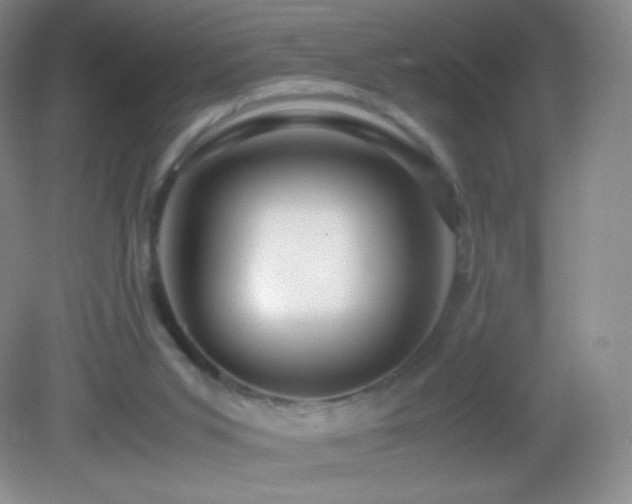 X0000082990015200702011441