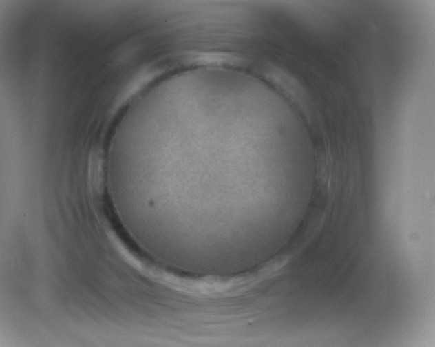 X0000082990016200702011441