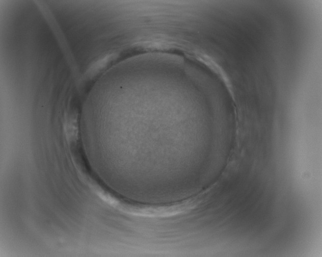 X0000082990017200702011441