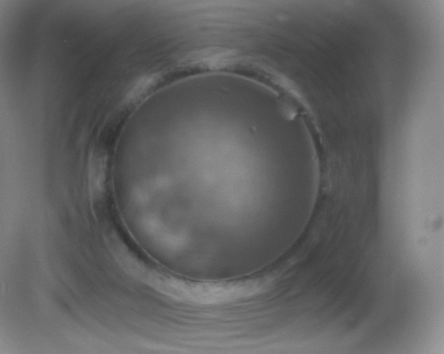 X0000082990018200702011441